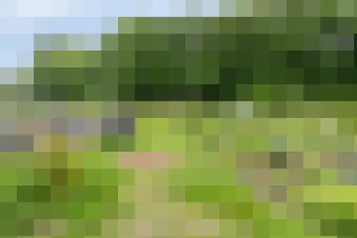 Hendrik van der Graaflaan 13 Bloemendaal thumbnail 35