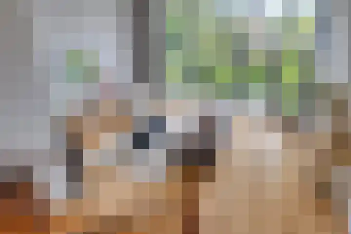 Hendrik van der Graaflaan 13 Bloemendaal thumbnail 4
