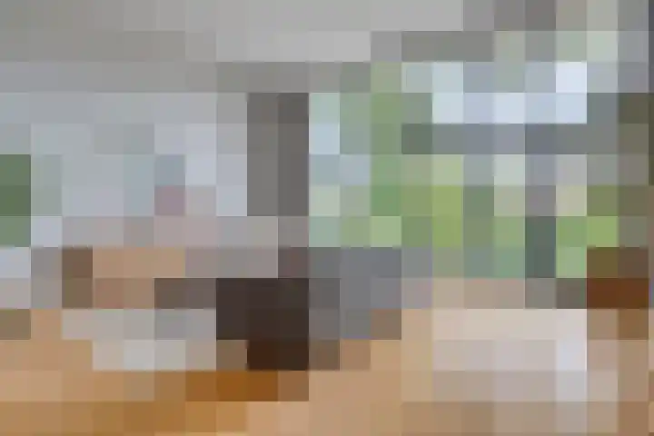 Hendrik van der Graaflaan 13 Bloemendaal thumbnail 5