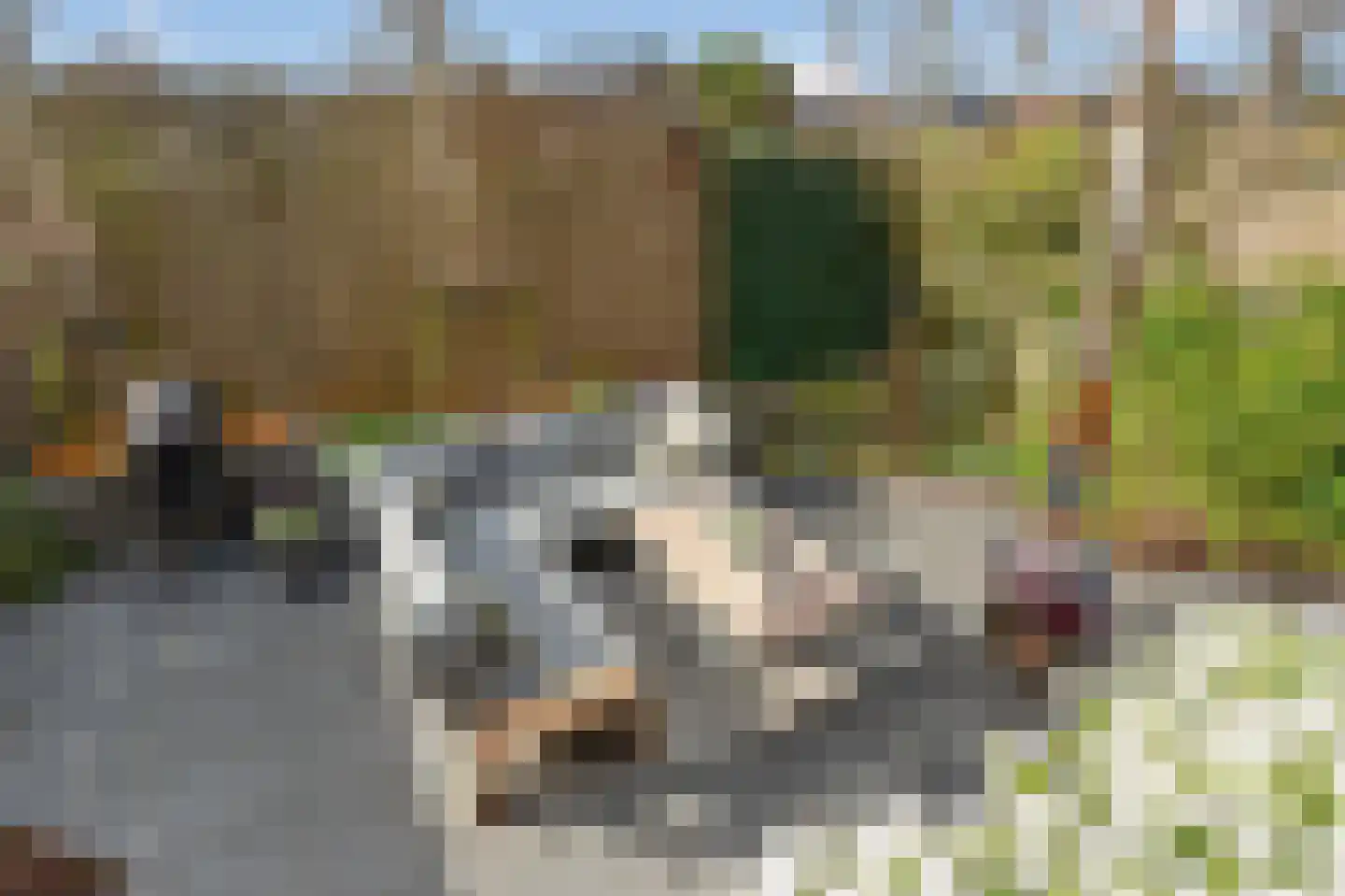 Hendrik van der Graaflaan 7 Bloemendaal thumbnail 16