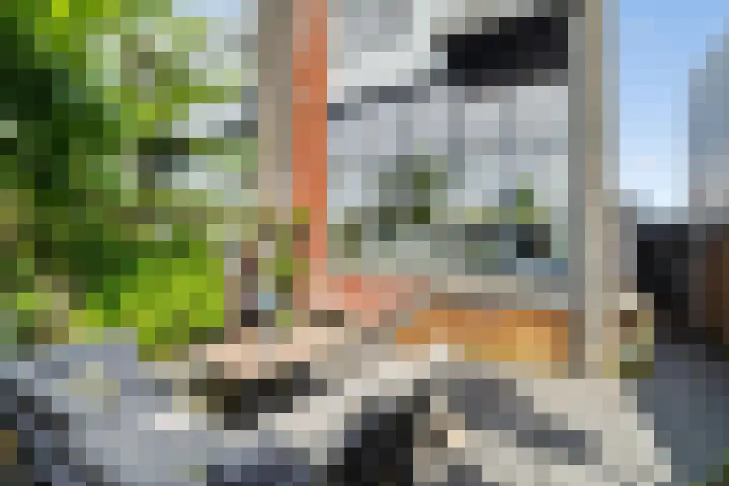 Hendrik van der Graaflaan 7 Bloemendaal thumbnail 16