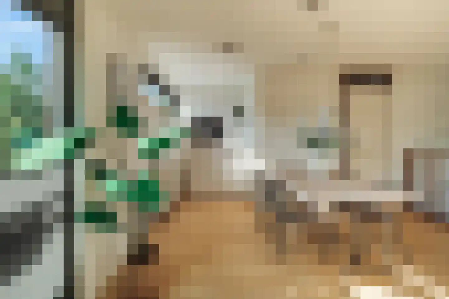 Hendrik van der Graaflaan 7 Bloemendaal thumbnail 8