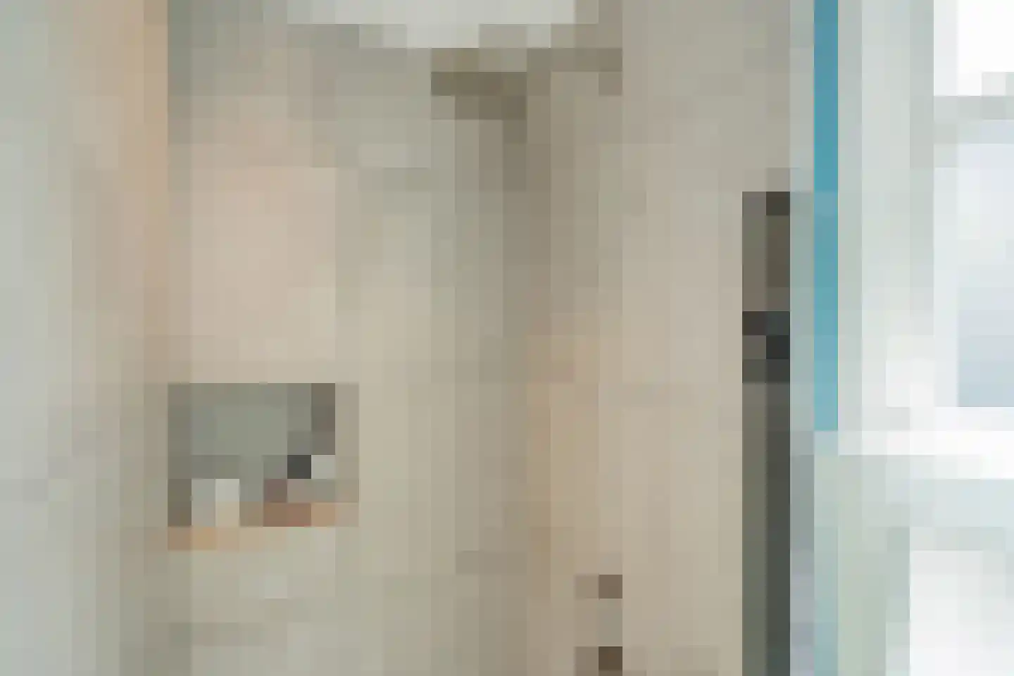 Hendrik van Deventerstraat 1 A Den Haag thumbnail 26
