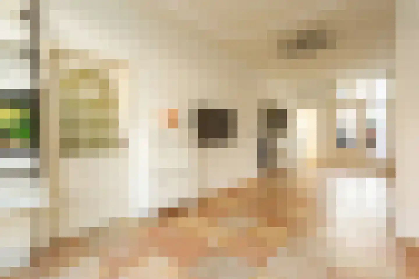 Hendrik van Deventerstraat 106 Den Haag thumbnail 8