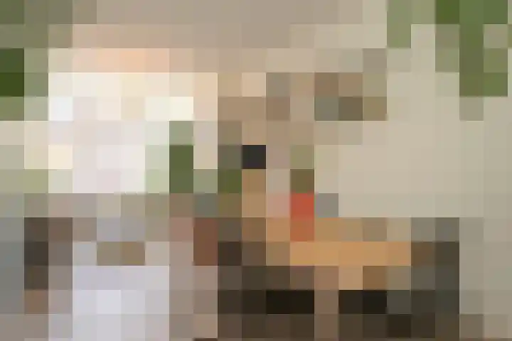 Hendrik van Deventerstraat 127 Den Haag