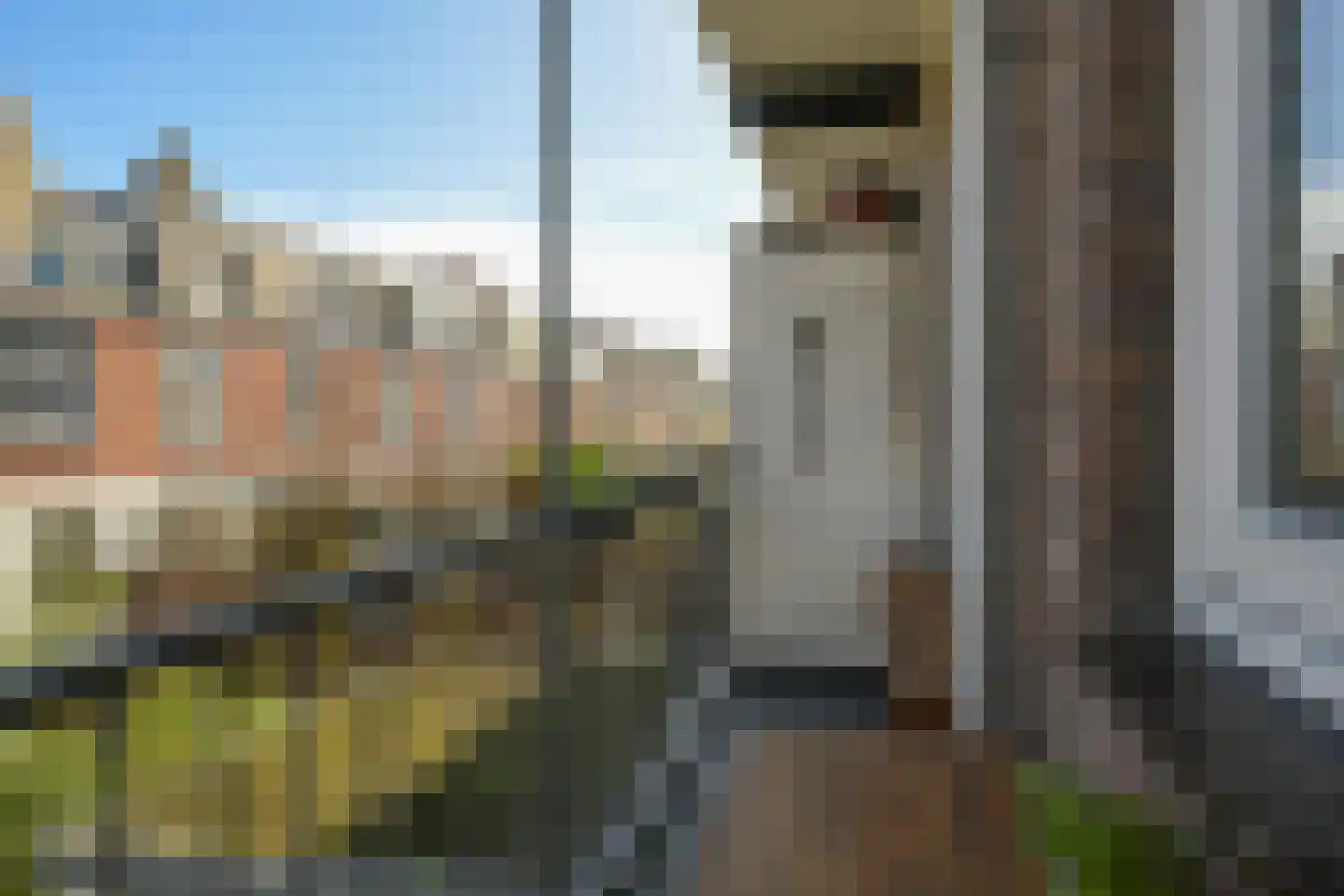Hendrik van Deventerstraat 127 Den Haag thumbnail 13