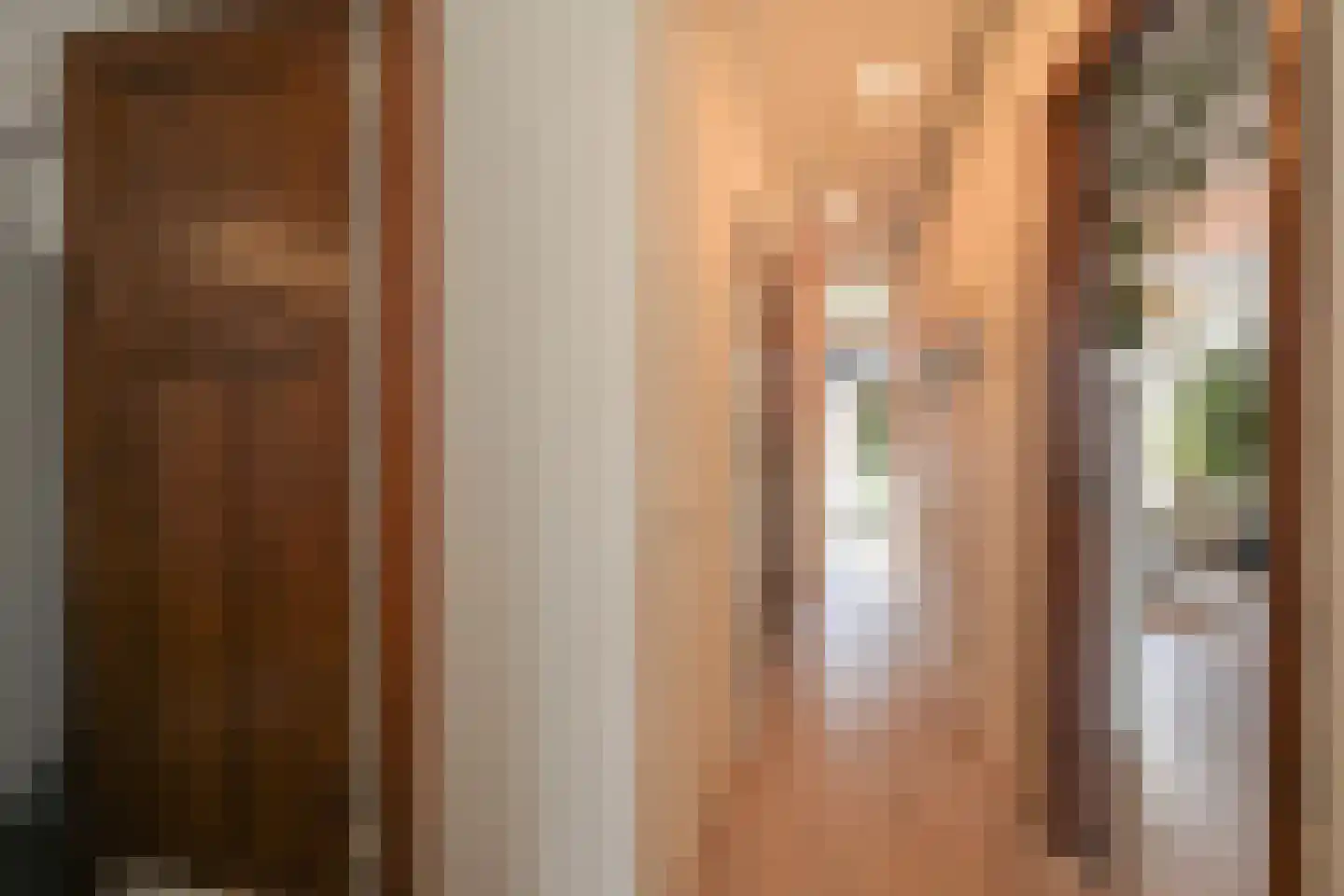 Hendrik van Deventerstraat 127 Den Haag thumbnail 20