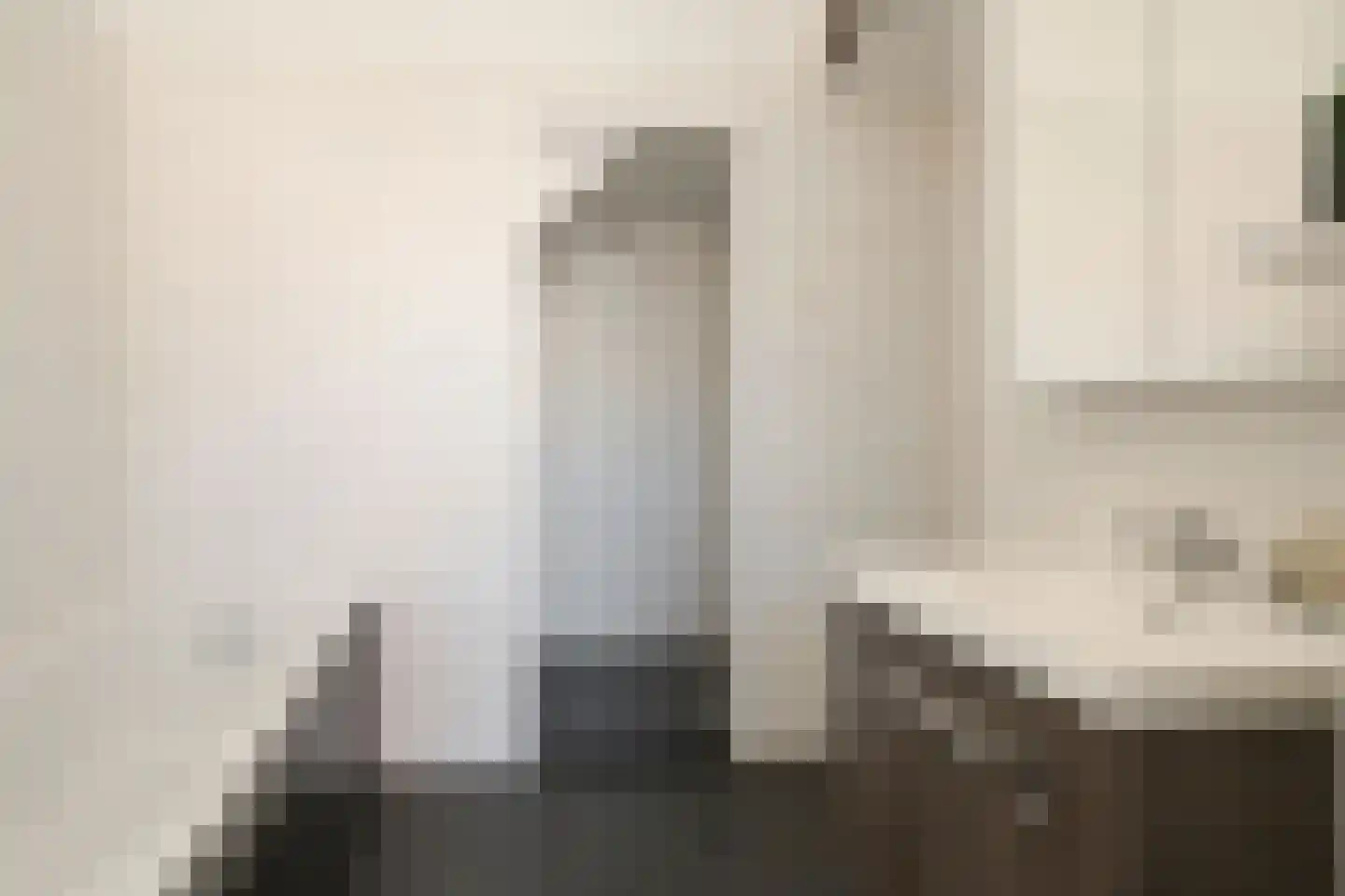 Hendrik van Deventerstraat 127 Den Haag thumbnail 7