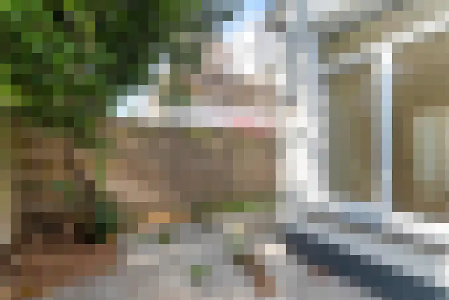Hendrik van Deventerstraat 138 Den Haag thumbnail 19