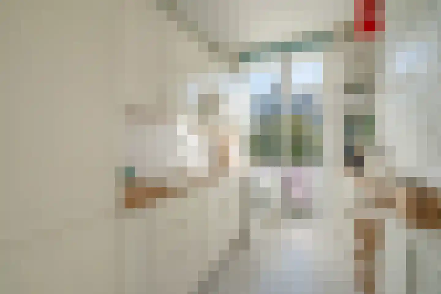 Hendrik van Deventerstraat 145 Den Haag thumbnail 11