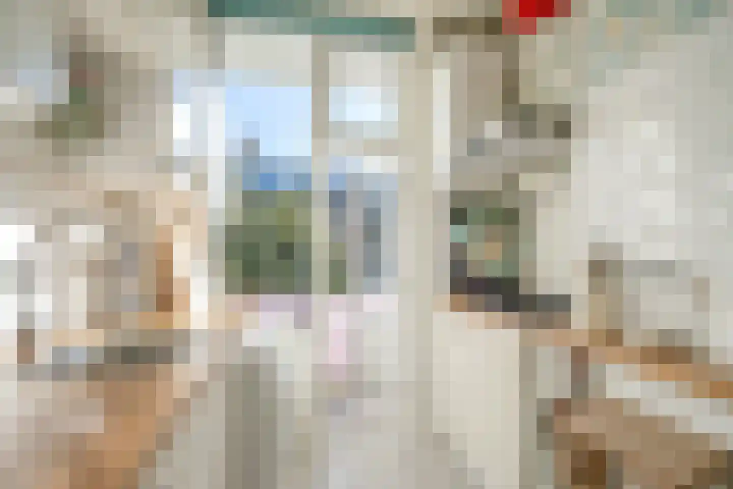 Hendrik van Deventerstraat 145 Den Haag thumbnail 12