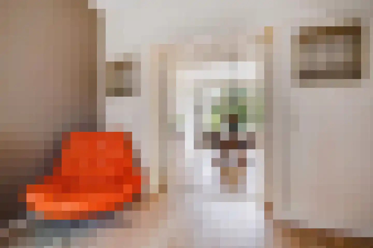 Hendrik van Deventerstraat 15 Den Haag thumbnail 10
