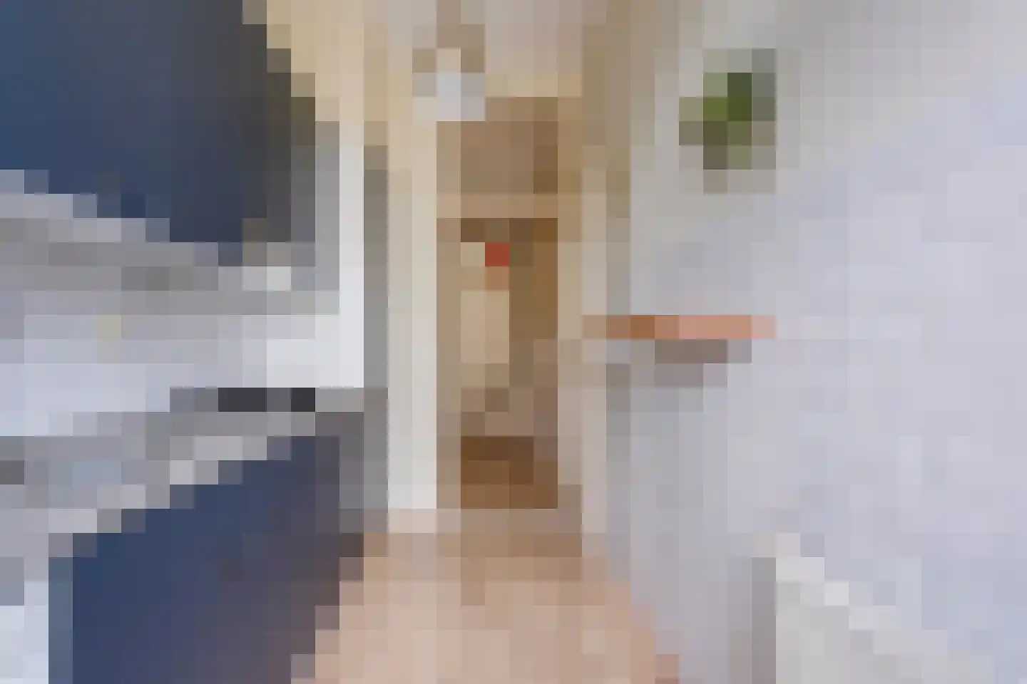 Hendrik van Deventerstraat 15 Den Haag thumbnail 18