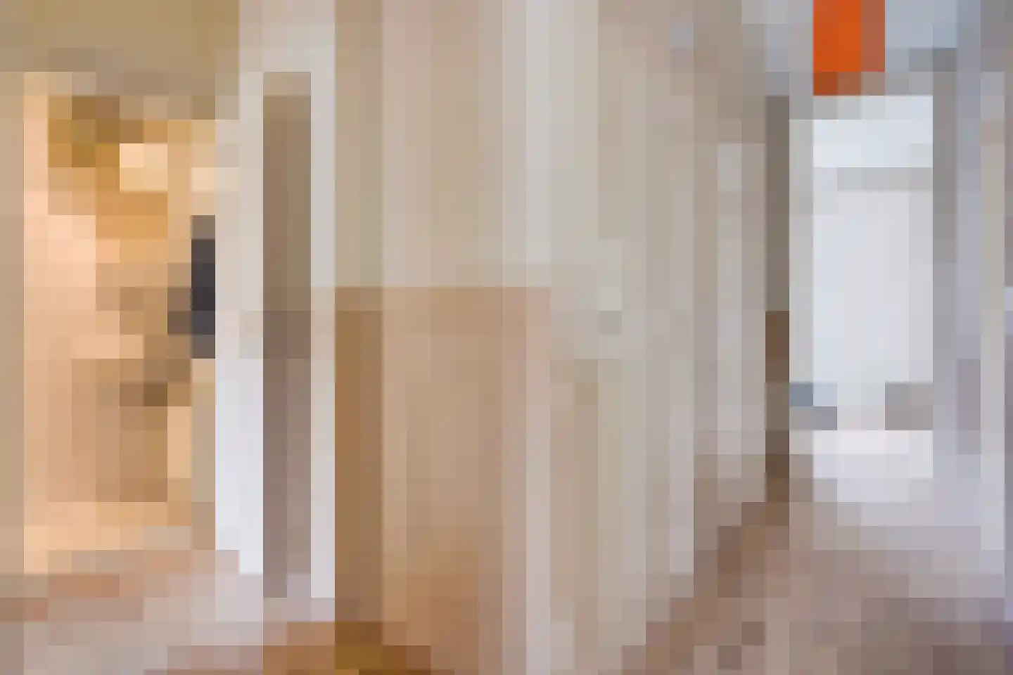 Hendrik van Deventerstraat 15 Den Haag thumbnail 22