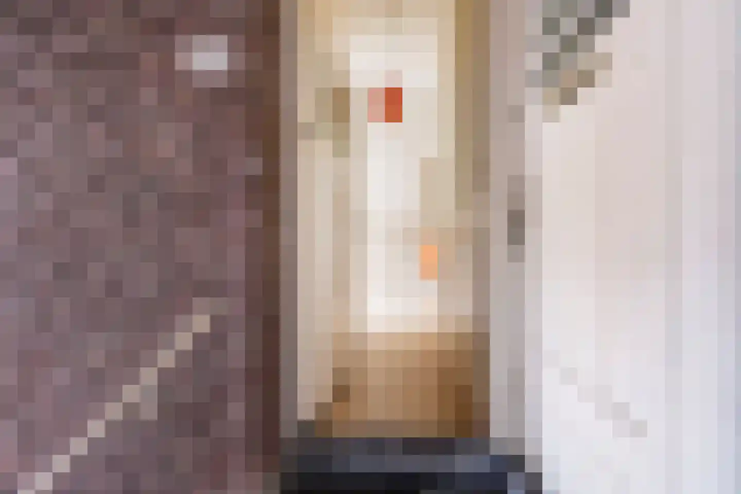Hendrik van Deventerstraat 15 Den Haag thumbnail 4
