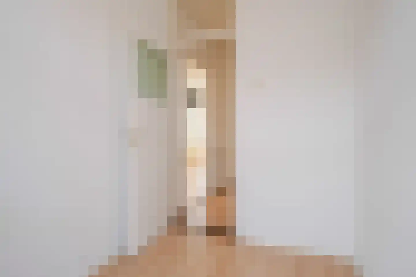 Hendrik van Deventerstraat 158 Den Haag thumbnail 27