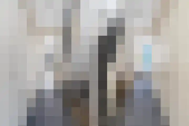 Hendrik van Deventerstraat 186 Den Haag thumbnail 13