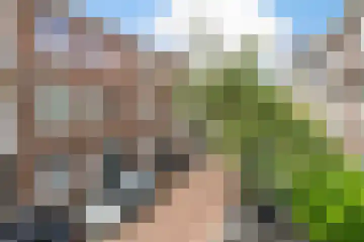 Hendrik van Deventerstraat 186 Den Haag thumbnail 32