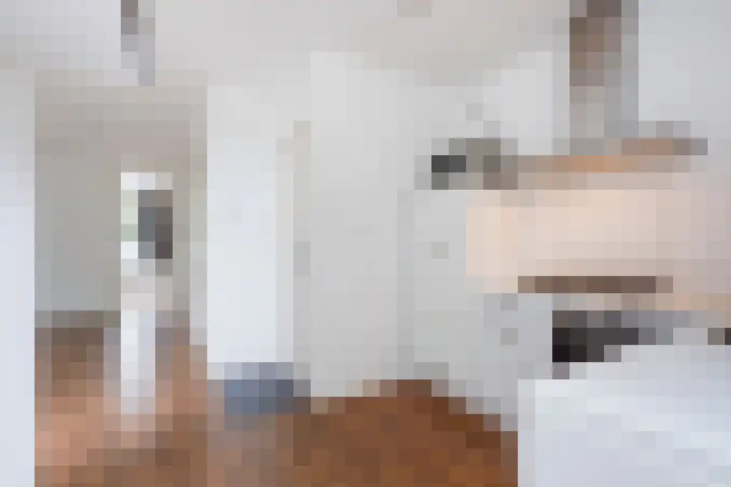 Hendrik van Deventerstraat 22 Den Haag thumbnail 17