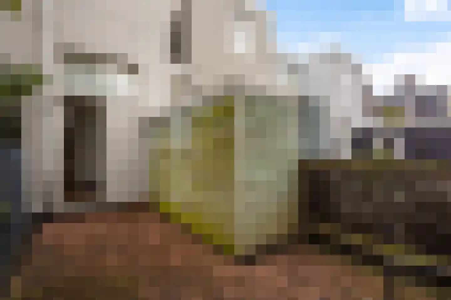 Hendrik van Deventerstraat 22 Den Haag thumbnail 21