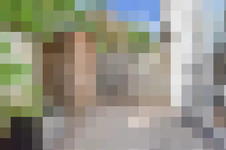Hendrik van Deventerstraat 42 Den Haag thumbnail 17