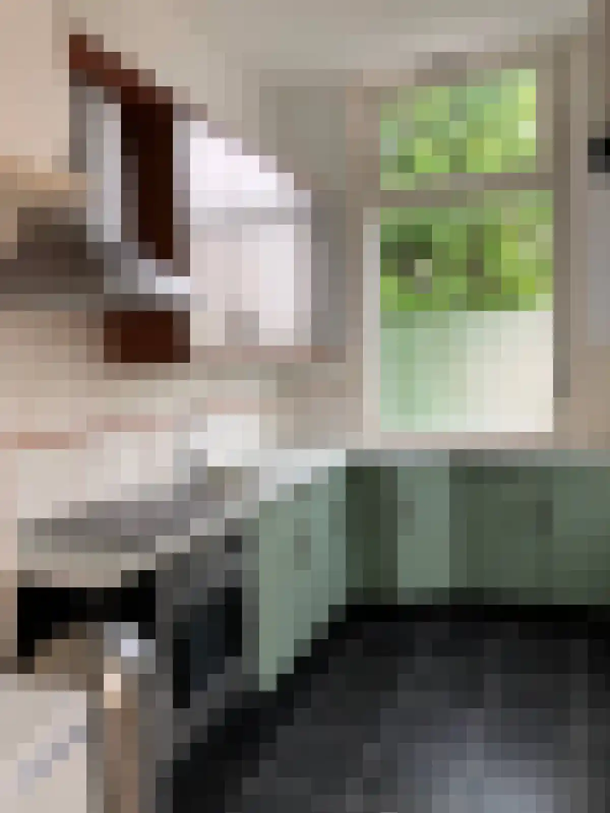 Hendrik van Deventerstraat 70 Den Haag thumbnail 6