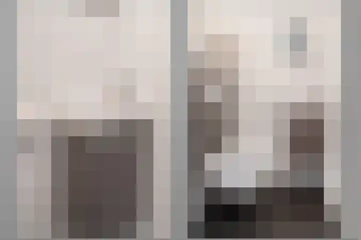 Hendrik van Hamontstraat 28 Schijndel thumbnail 6