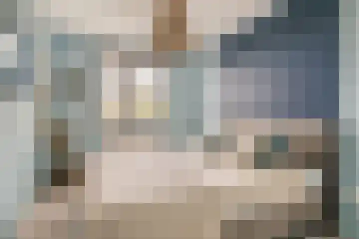 Hendrik van Hamontstraat 44 Schijndel thumbnail 15