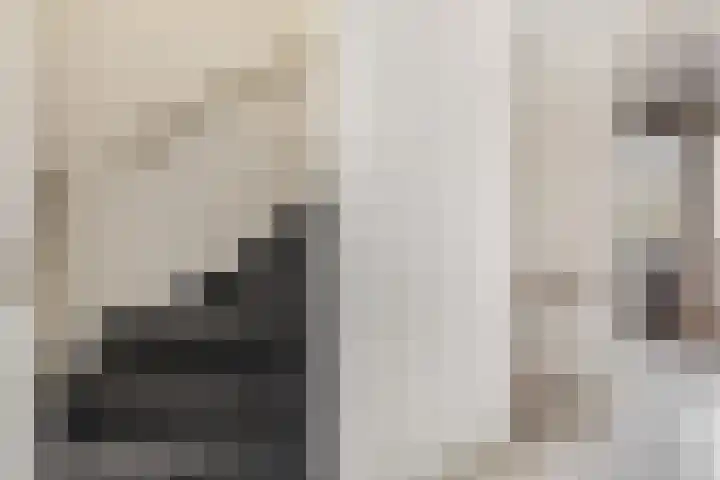 Hendrik van Hamontstraat 44 Schijndel thumbnail 22