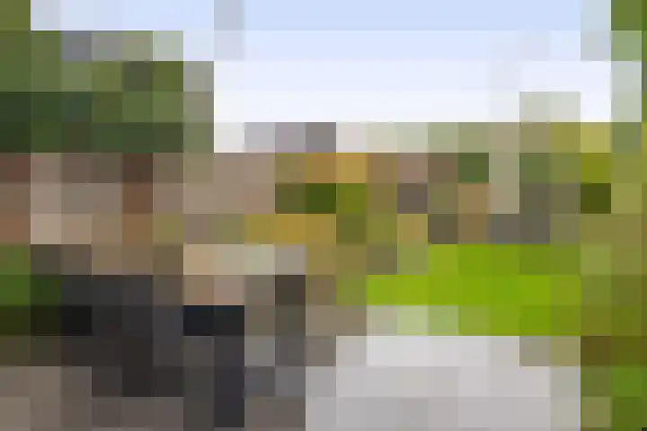 Hendrik van Hamontstraat 44 Schijndel thumbnail 27