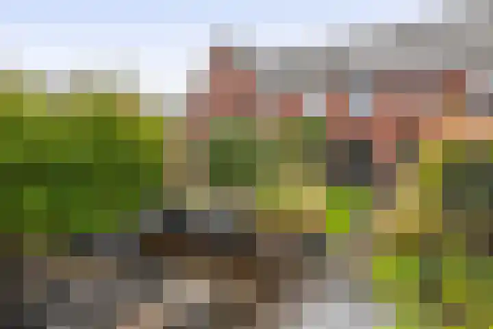 Hendrik van Hamontstraat 44 Schijndel thumbnail 29