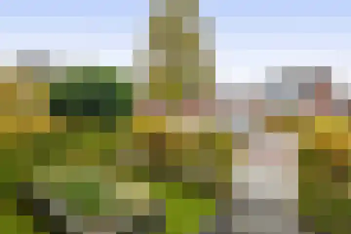 Hendrik van Hamontstraat 44 Schijndel thumbnail 32