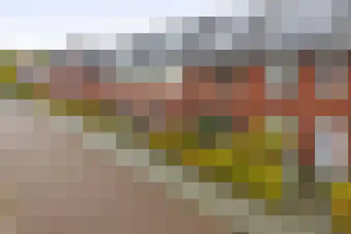 Hendrik van Hamontstraat 44 Schijndel thumbnail 36