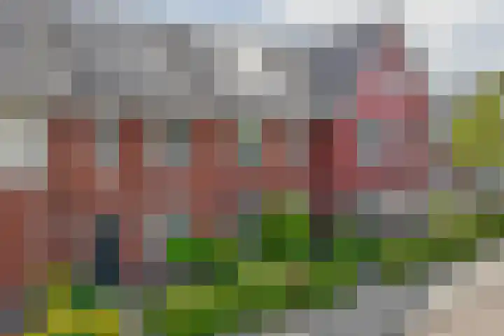 Hendrik van Hamontstraat 46 Schijndel thumbnail 24