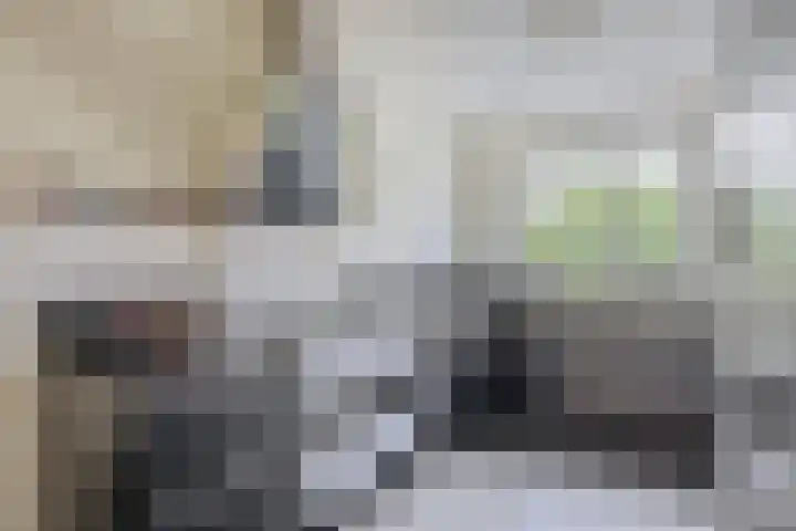 Hendrik van Hamontstraat 46 Schijndel thumbnail 8