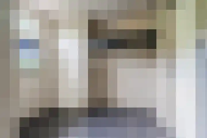Hendrik van Herenthalslaan 3 Lieshout thumbnail 10
