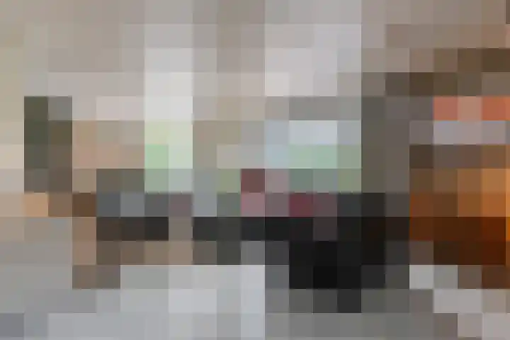 Hendrik van Herenthalslaan 3 Lieshout thumbnail 11
