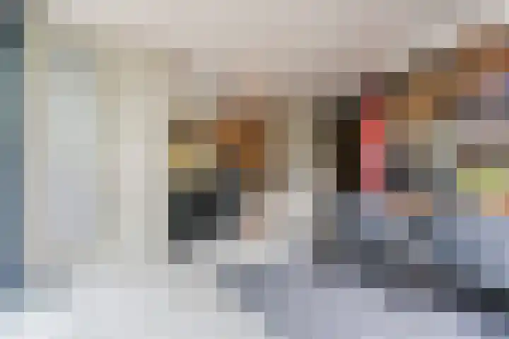 Hendrik van Herenthalslaan 3 Lieshout thumbnail 15