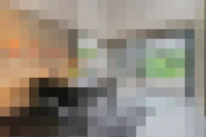 Hendrik van Herenthalslaan 3 Lieshout thumbnail 16