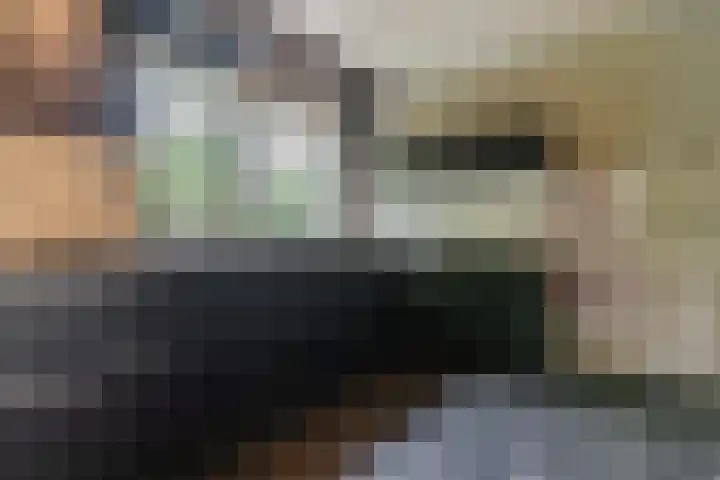 Hendrik van Herenthalslaan 3 Lieshout thumbnail 21
