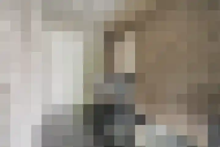 Hendrik van Herenthalslaan 3 Lieshout thumbnail 23