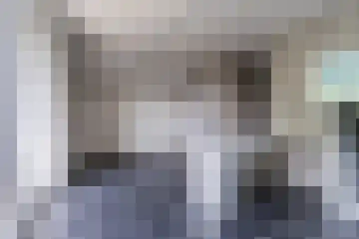 Hendrik van Herenthalslaan 3 Lieshout thumbnail 24
