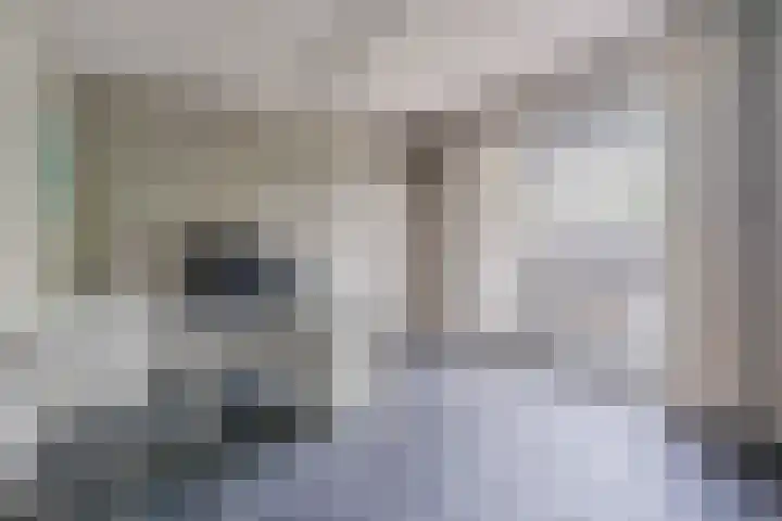Hendrik van Herenthalslaan 3 Lieshout thumbnail 25