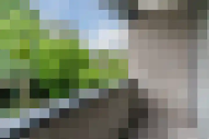 Hendrik van Herenthalslaan 3 Lieshout thumbnail 26