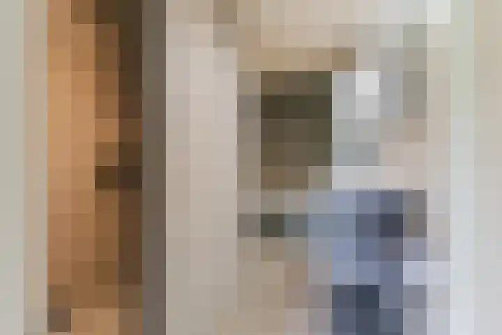 Hendrik van Herenthalslaan 3 Lieshout thumbnail 27