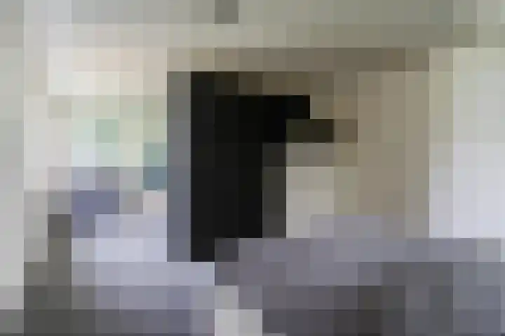 Hendrik van Herenthalslaan 3 Lieshout thumbnail 32