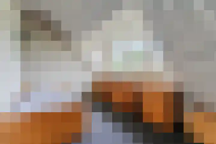 Hendrik van Herenthalslaan 3 Lieshout thumbnail 34