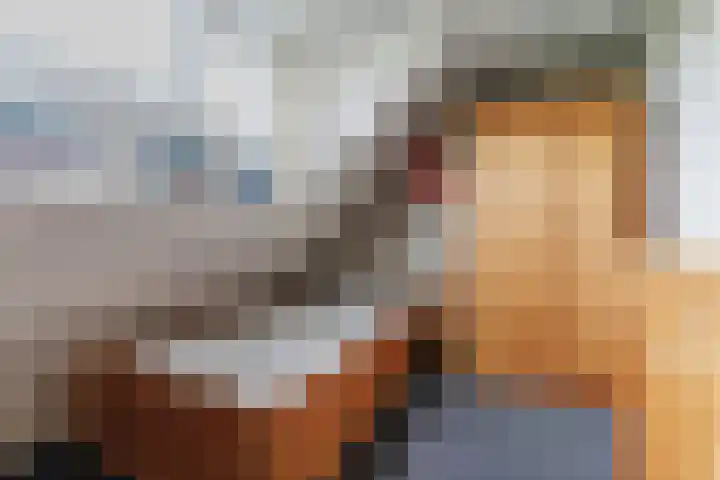 Hendrik van Herenthalslaan 3 Lieshout thumbnail 36