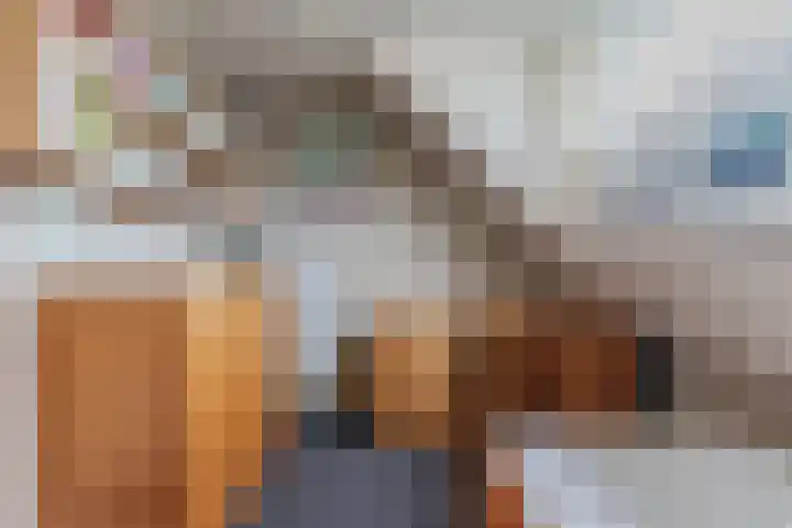 Hendrik van Herenthalslaan 3 Lieshout thumbnail 37