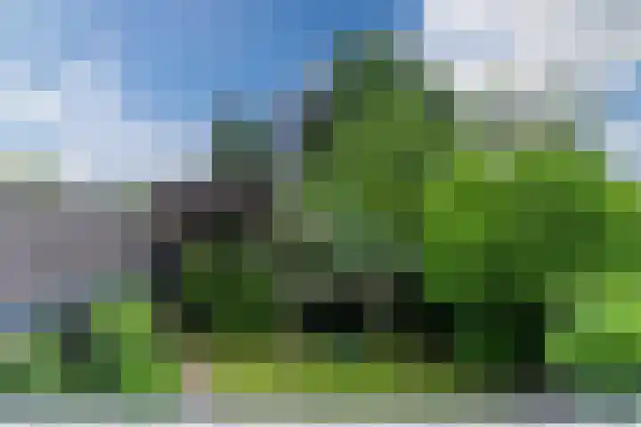 Hendrik van Herenthalslaan 3 Lieshout thumbnail 38